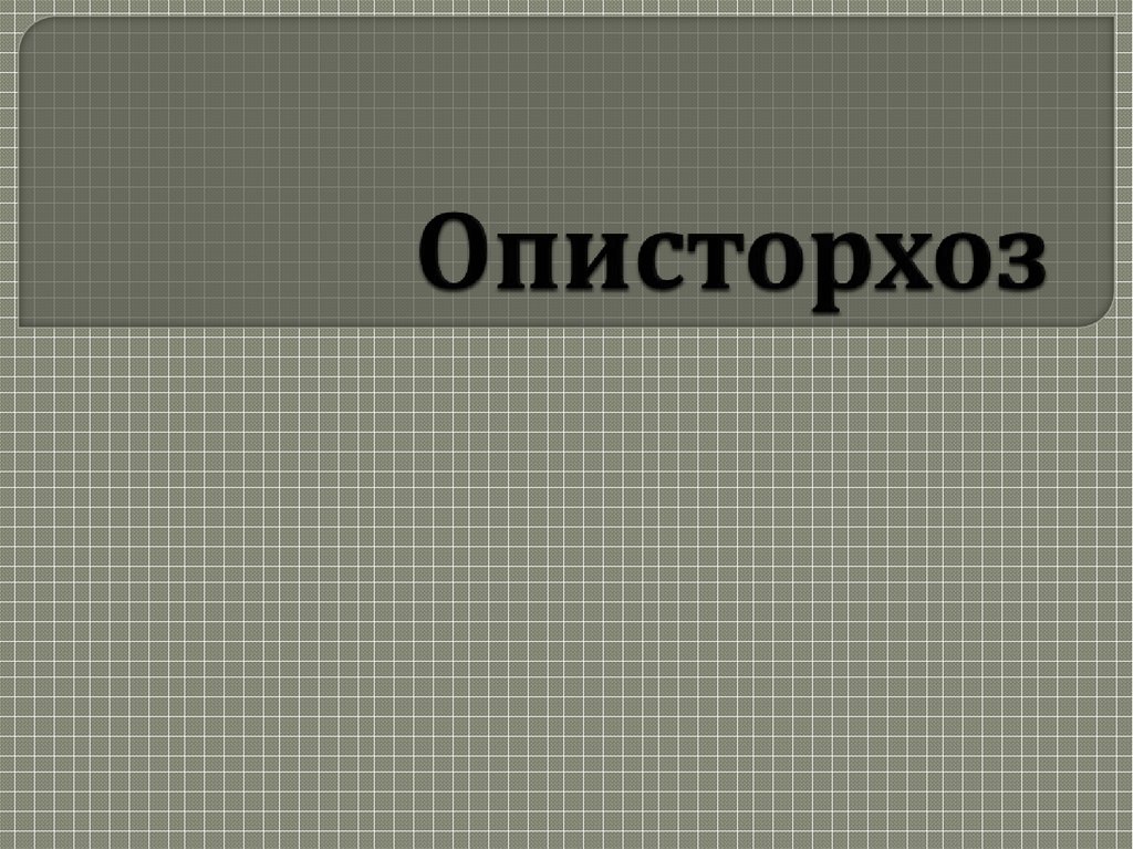 Презентация на тему описторхоз