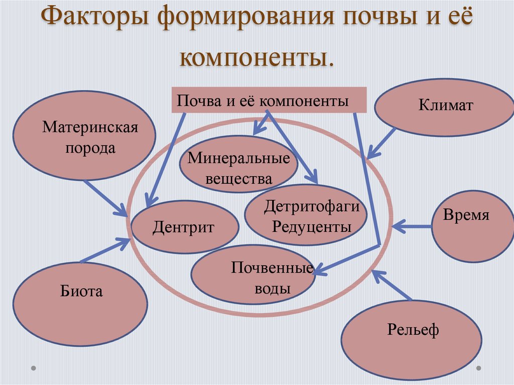 Почва какой фактор. Факторы формирующие почву. Схема факторы влияющие на формирование почв. Факторы почвы. Факторы формирования почвы и ее компонентов.