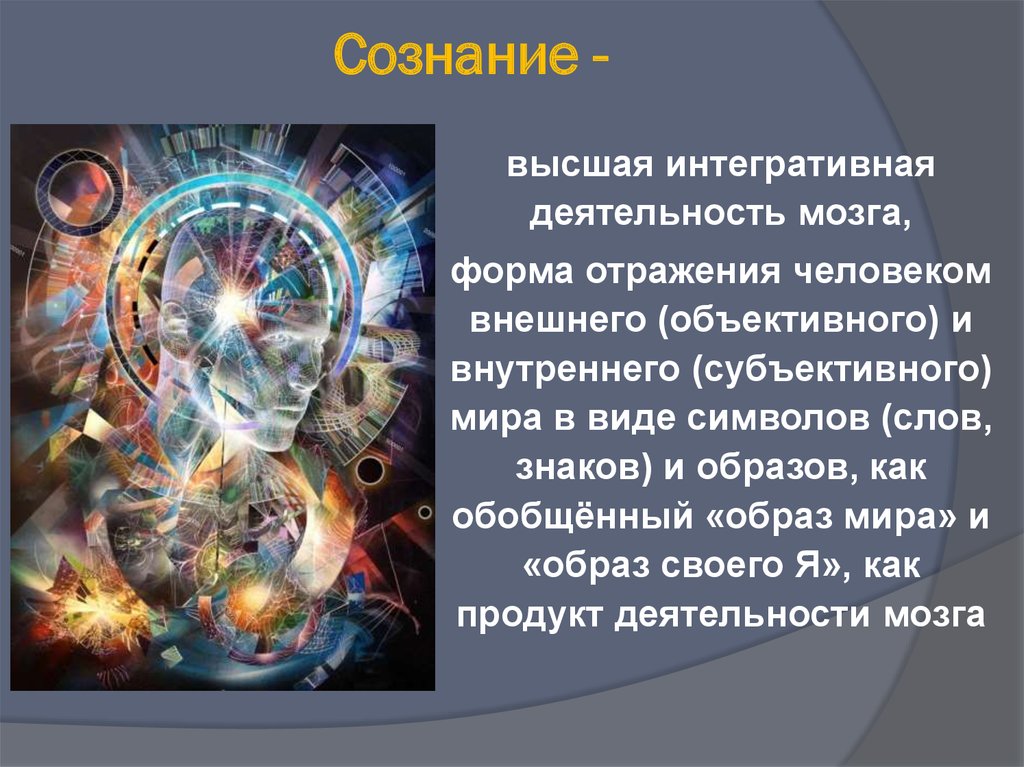 Сознание человека. Образы сознания. Мыслительная деятельность мозга. Субъективный мир человека это