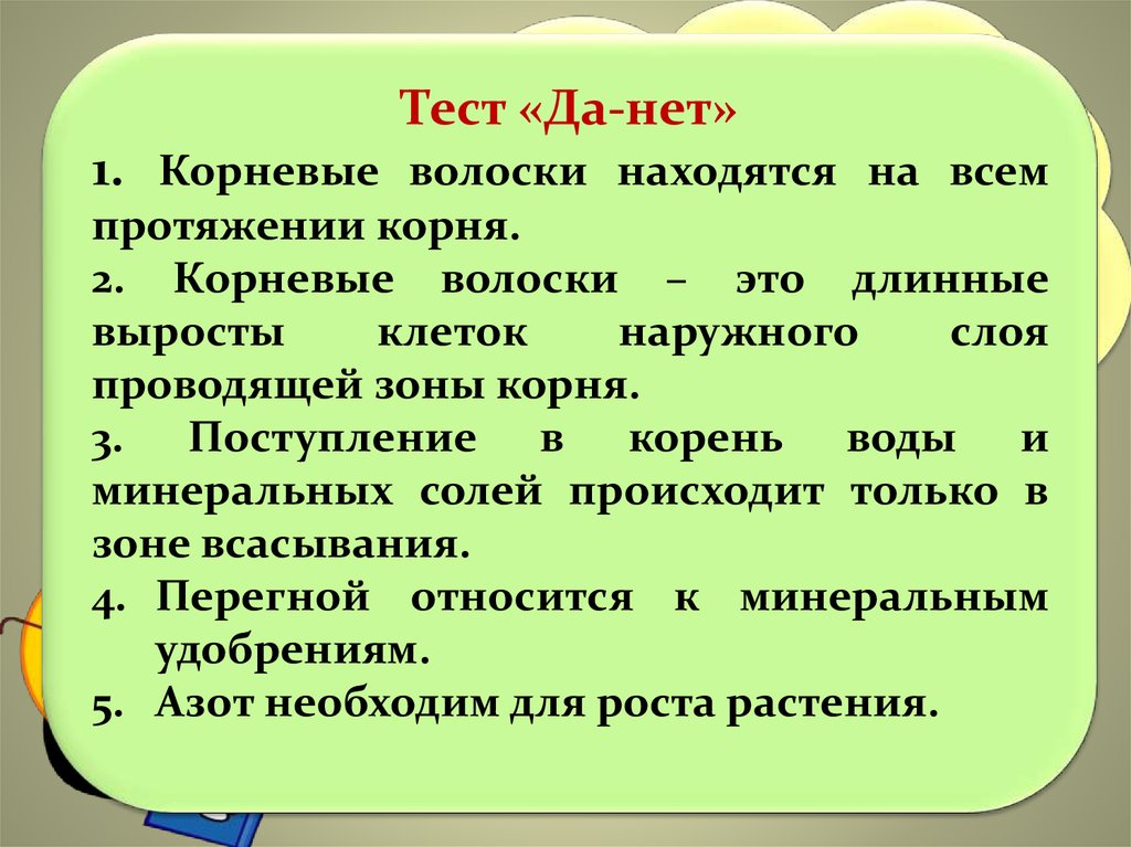 Верный корень. Корневые волоски находятся на всем протяжении. Тест да нет корневые волоски находятся на всем протяжении корня. Корневые волоски находятся на всем протяжении корня да или нет. «Да-нет» 1. корневые волоски находятся на всем протяжении корня..