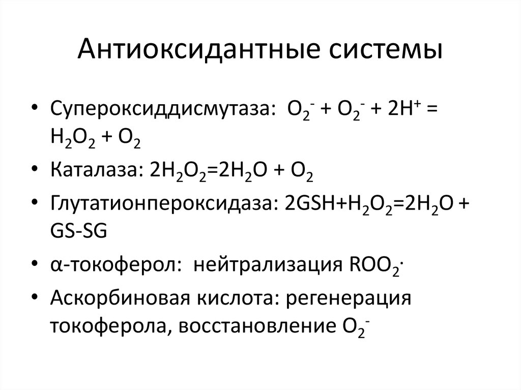 Антиоксидантные ферменты