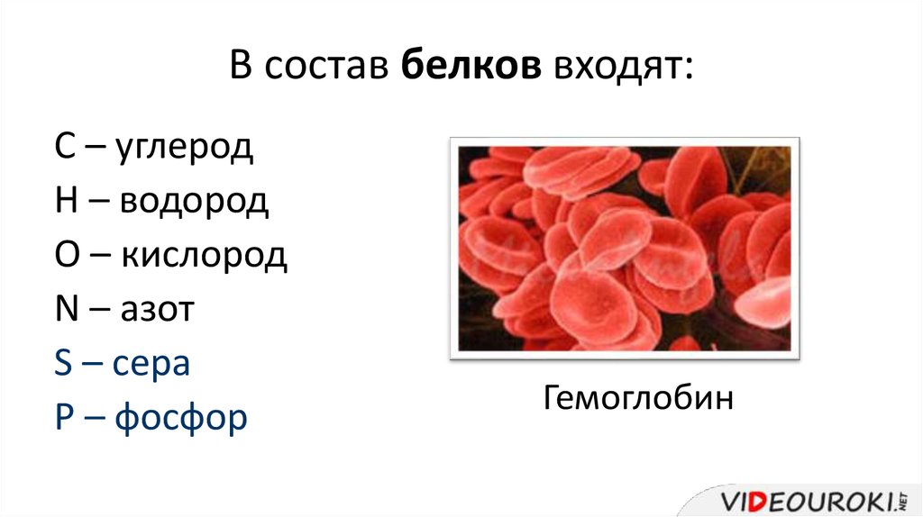 В состав природных белков входят