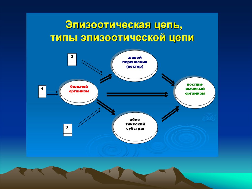 Интенсивность эпизоотического процесса