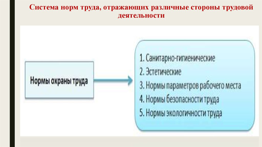 Нормативная система. Система норм труда. Показатели трудовой активности. Стороны трудовой деятельности. Менеджер по оплате и нормированию труда.