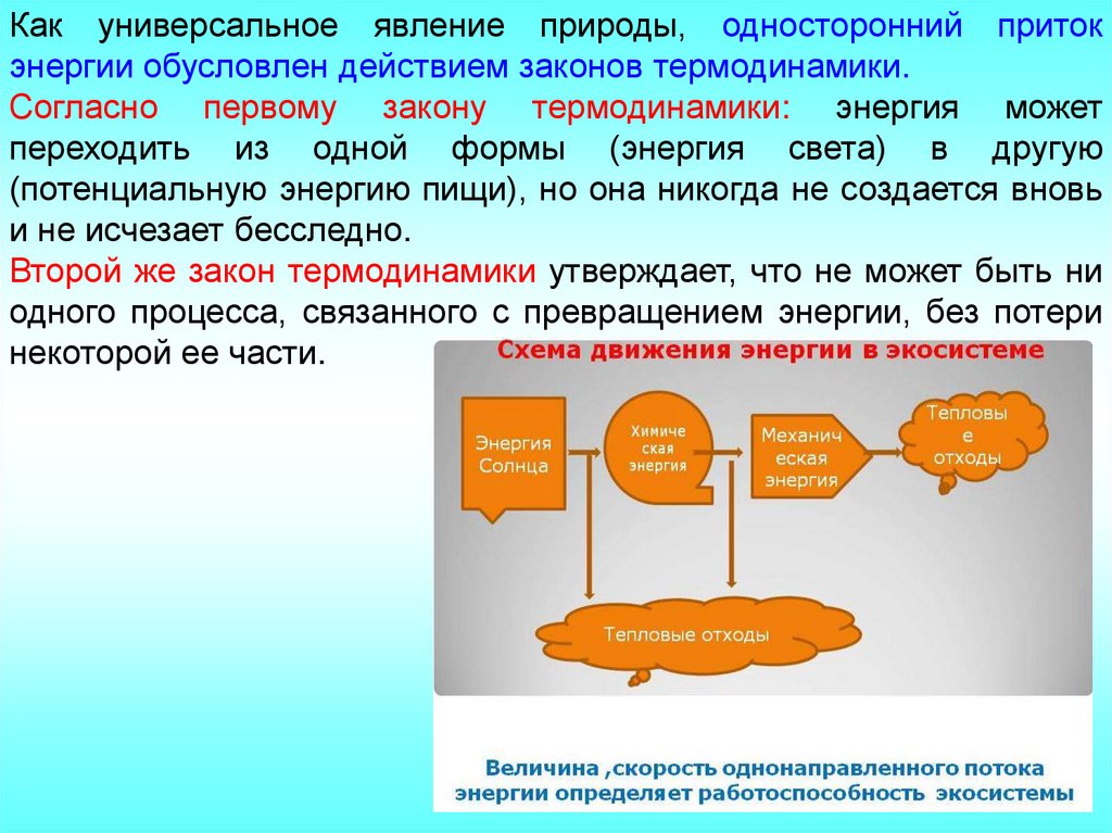 Потоки вещества и энергии в экосистеме презентация 9 класс