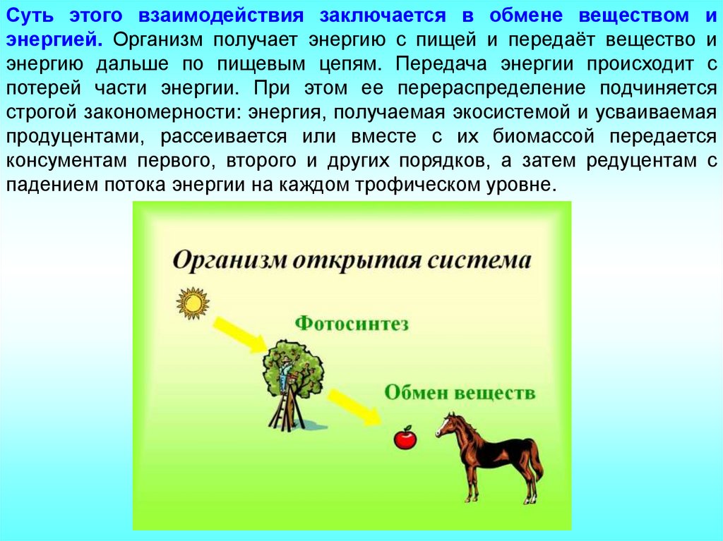 Последовательность увеличения биологической продуктивности природных зон