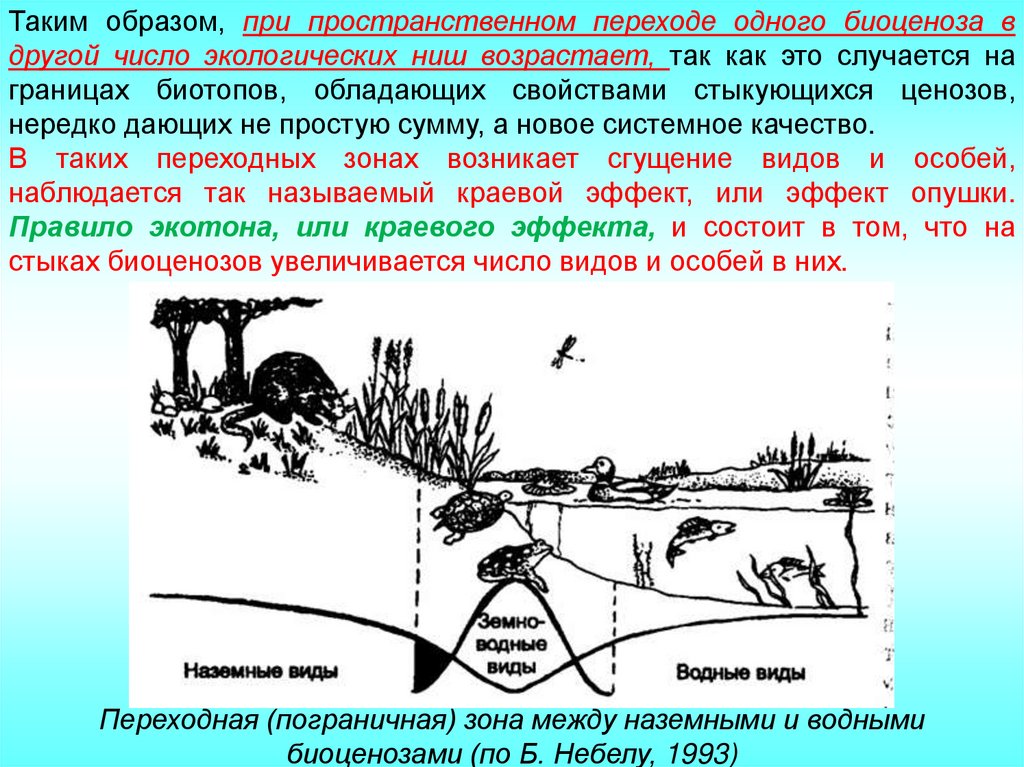 Продуктивность биоценоз