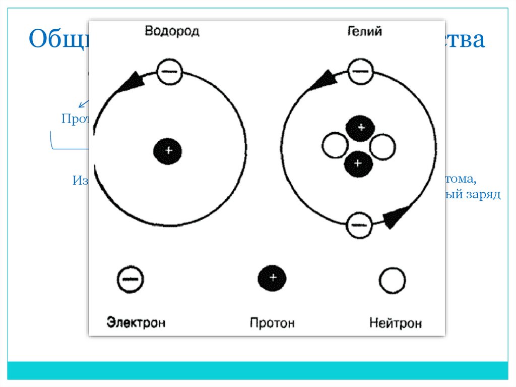 Общее и различие между протоном и нейтроном. Строение атома гелия. Протоны нейтроны электроны схема. Схема Иона гелия.
