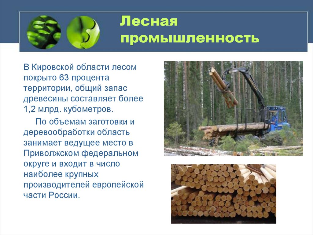 Экономика в лесной отрасли. Лесная промышленность Кировской области. Экономика Кировской области Лесная промышленность. Проект экономика Кировской области. Экономика Кировской области 3 класс.