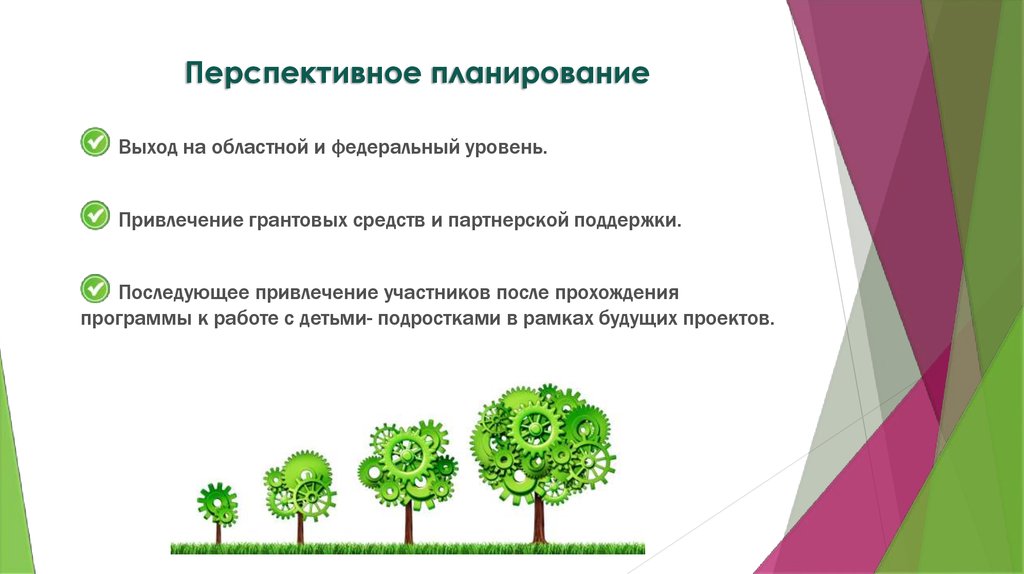 Перспектива планирование. Социальный проект для подростков. Планирование для подростков. Привлечение грантовых средств. Уровни перспективного планирования.