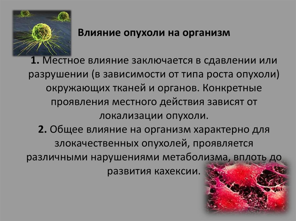 Образование злокачественных опухолей вызовет. Роль опухоли в патологии человека. Презентация по патологии опухоли. Общее влияние опухоли на организм.