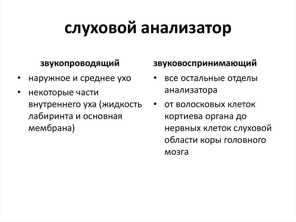 К анализатору относятся. Функции органов слуха:звукопроводящий и звуковоспринимающий. Звуковоспринимающая функция органа слуха. Части звуковоспринимающей системы уха. Что относится к звукопроводящему отделу слухового анализатора.