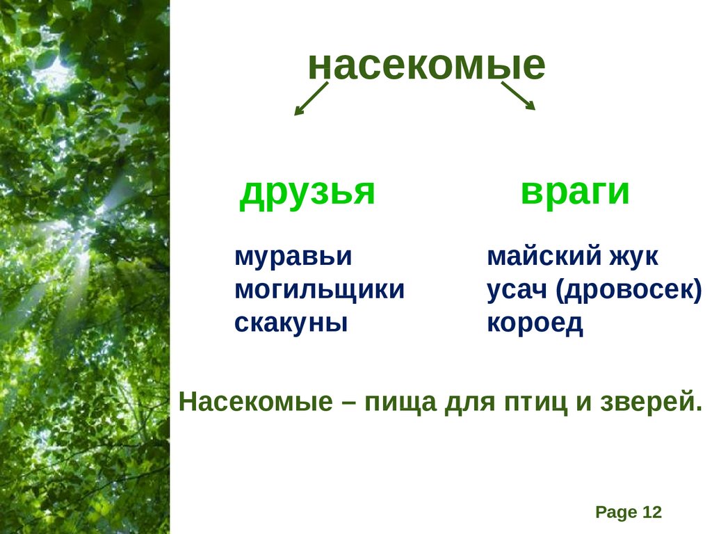 Презентация насекомые леса 2 класс начальная школа 21 века