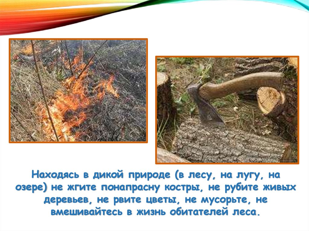 Однкнр бережное отношение к природе 5. Расскажи о своё отношении к природе. Доклад о бережном отношении к древесине. Предания о любви к природе и бережном отношении. Бережное отношение к лесу презентация.