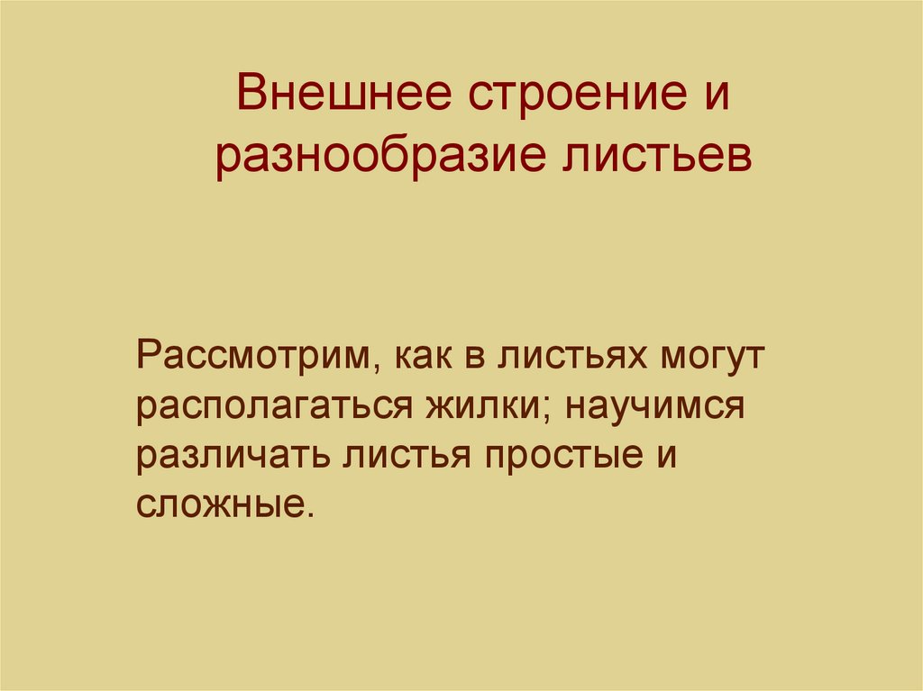 Причины разнообразия листьев. Расскажите о многообразии и строении листьев.