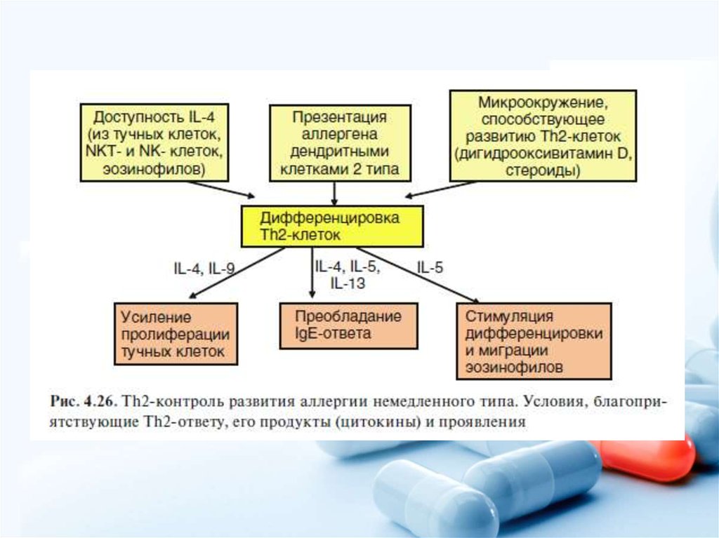 Иммунитет и аллергия есть ли между ними связь презентация