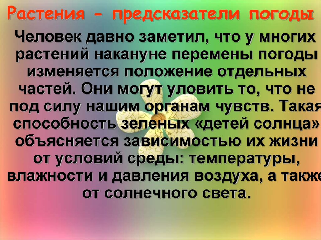 Животные и растения предсказатели погоды проект