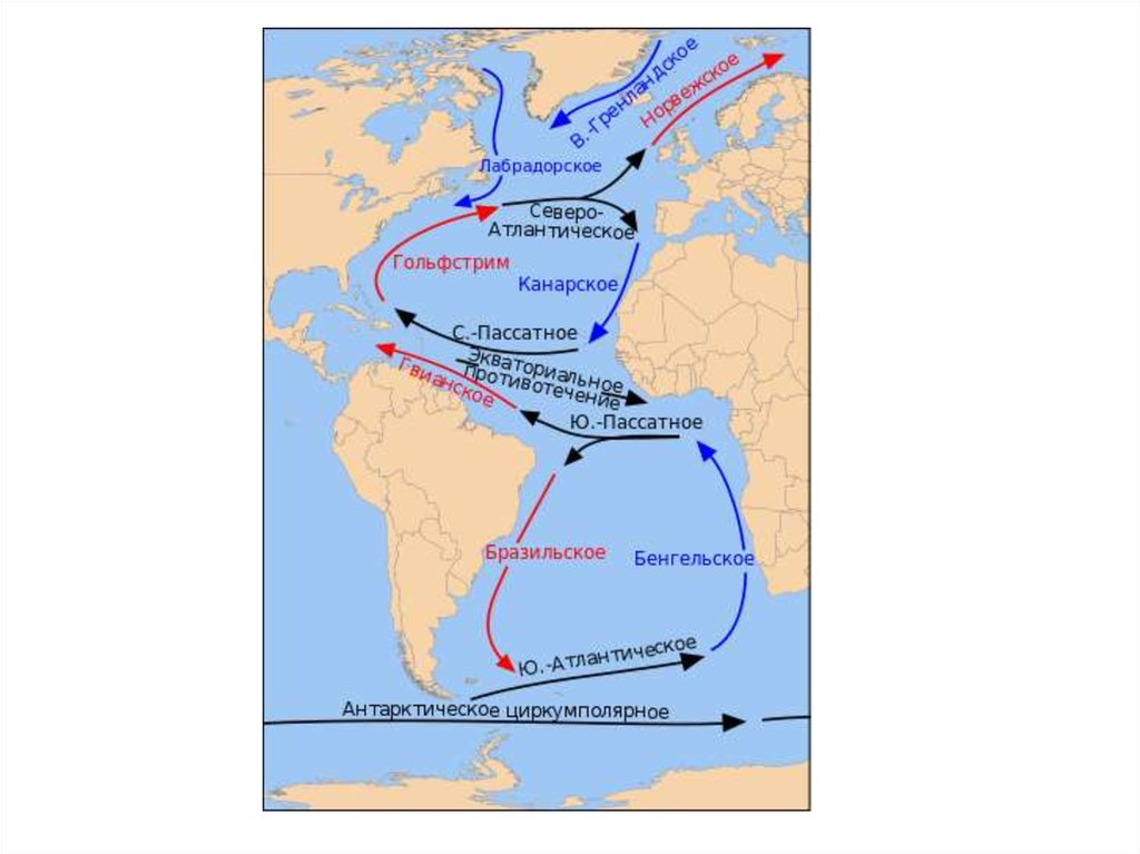 Мощное теплое атлантическое течение. Холодные течения Атлантического океана на карте. Теплые течения Атлантического океана на карте. Теплое течение Северо атлантическое на карте. Схема поверхностных течений Атлантического океана.