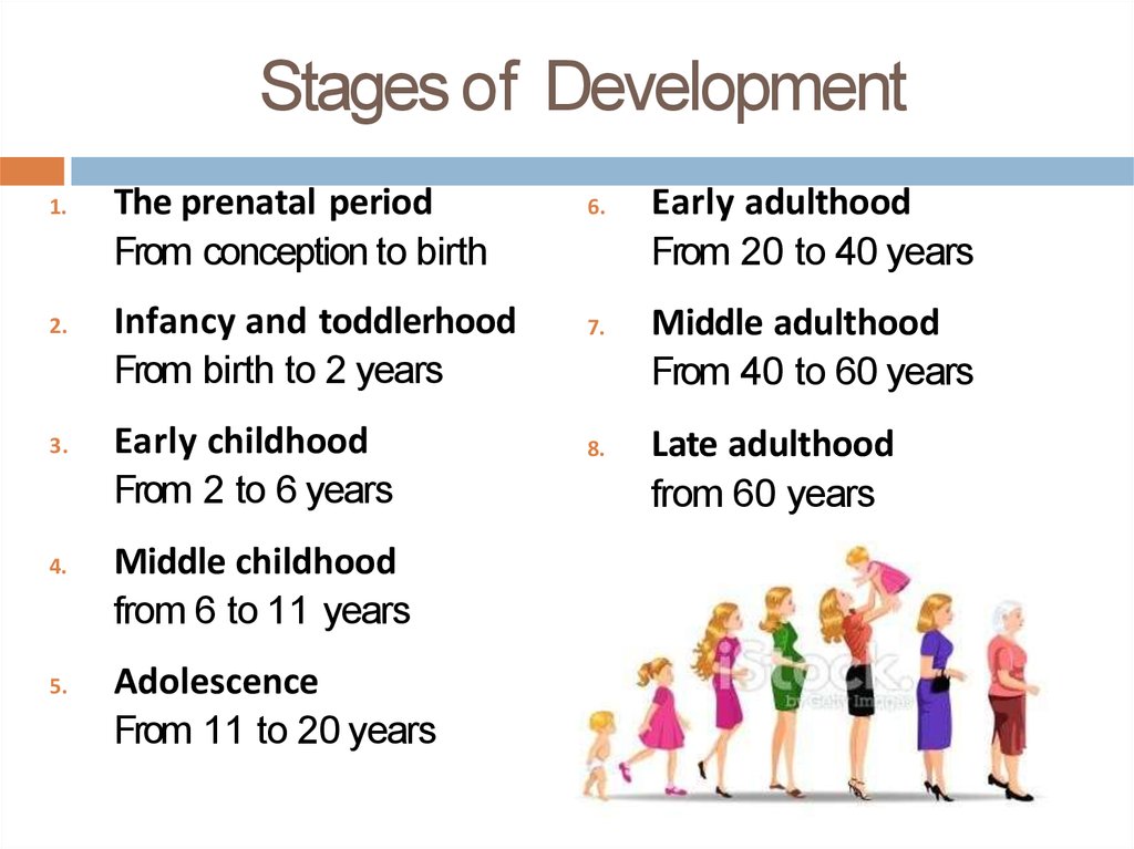 Adulthood Stages – Telegraph