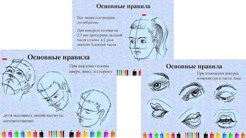 Изображение головы человека в пространстве 6