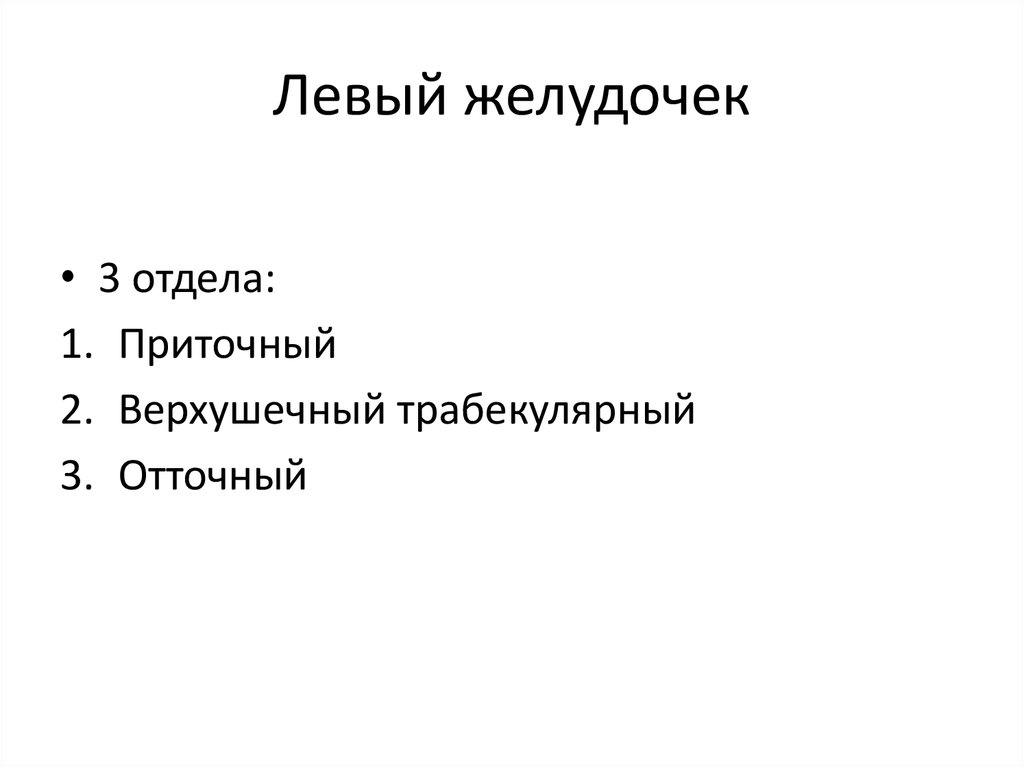 Левый желудочек