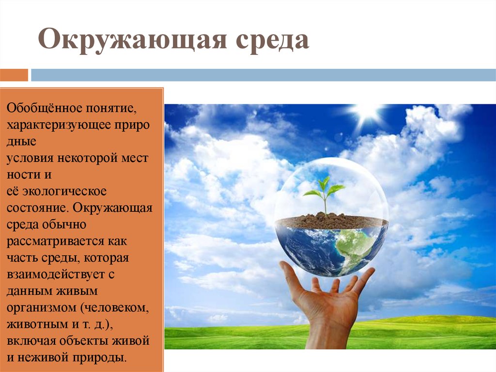 Окружающая среда это совокупность. Понятие окружающая среда. Окружающая среда термин. Окружающая среда человека понятие. Окружающая среда это определение.