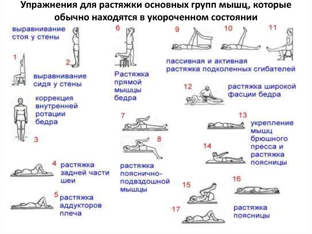 Динамические упражнения упражнения выполняются