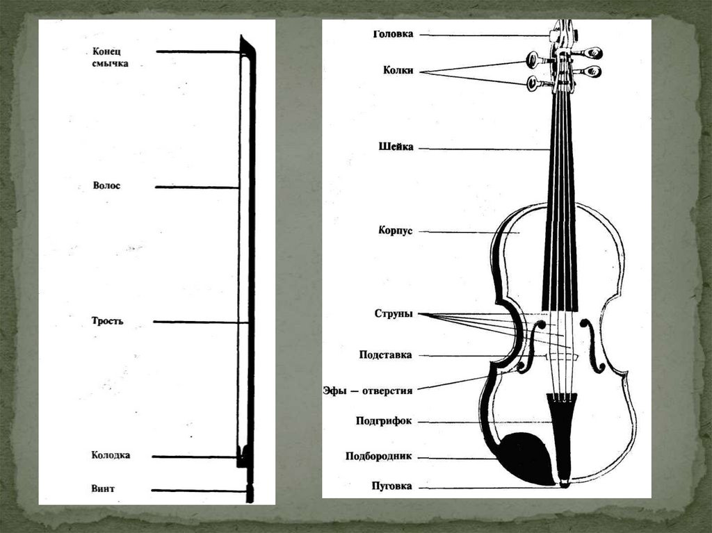 Из чего состоит скрипка схема для детей