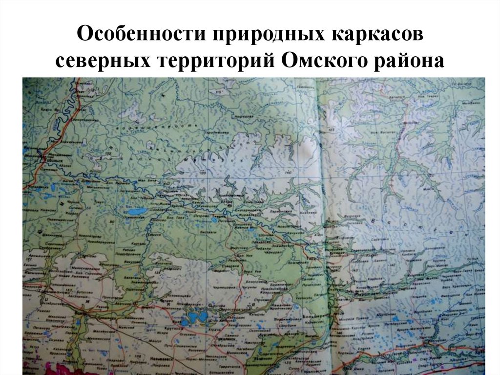 Особенности природных каркасов северных территорий Омского района