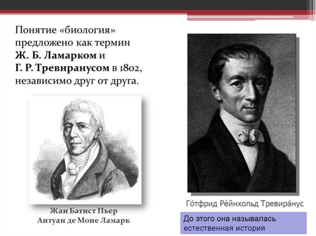 История биологии. Естественная история это в биологии. Биология презентация. Утерянная глава истории биологии. Гл..