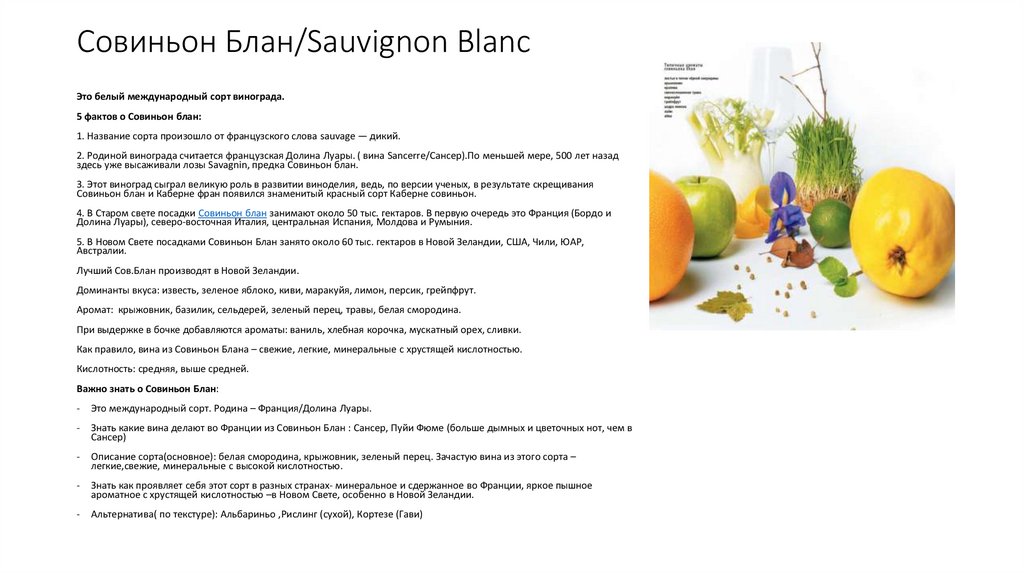 Совиньон Блан/Sauvignon Blanc
