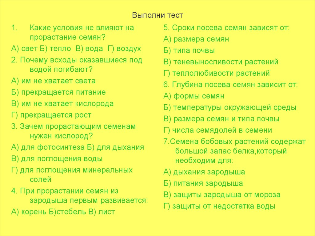 Биология 6 класс прорастание семян презентация 6 класс