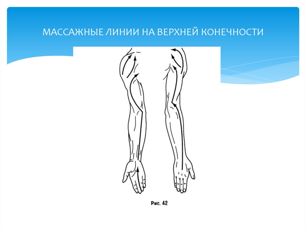 Верхняя линия. Верхние конечности линии. Массажные линии на верхней конечности. Презентация на тему массаж верхних конечностей и нижних конечностей. Симметричная массируемая конечность.