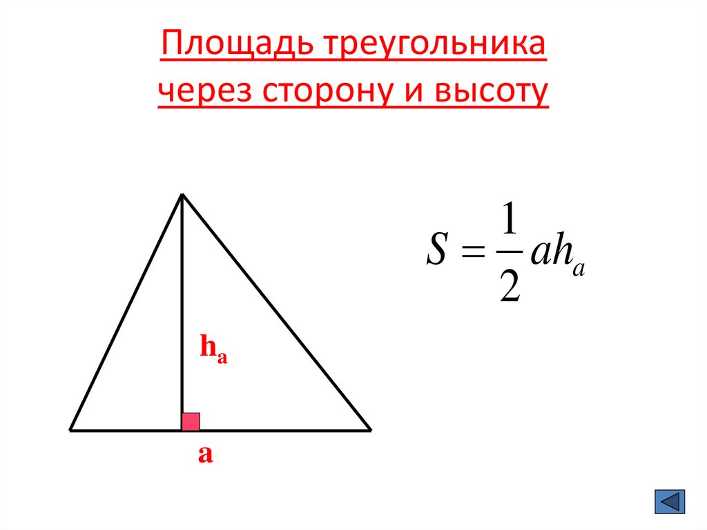 Высота треугольного треугольника. Площадь треугольника через высоту. Площадь треугольника через высоту и сторону. Формула площади треугольника равнобедренного треугольника. Формула площади равнобедренного треугольника через площадь.