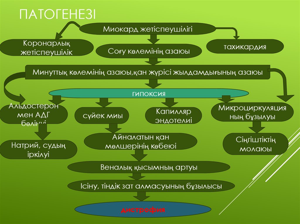 Өкпе жүрек жетіспеушілігі презентация