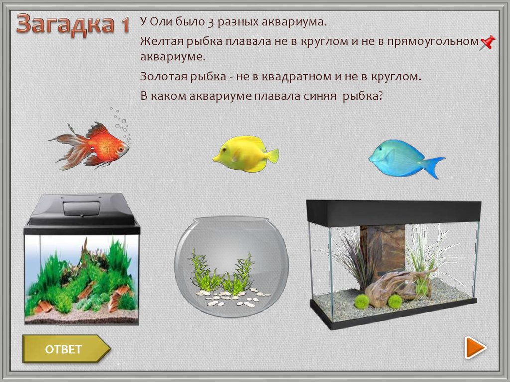 Сколько рыбок. Задание аквариум рыбки. Три рыбки плавали в разных аквариумах. Задача про рыбок в аквариуме. Задача с рыбками в аквариуме на логику.