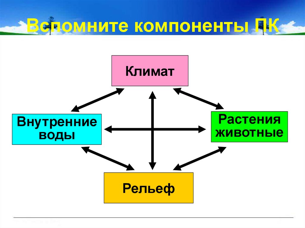 Компоненты климата