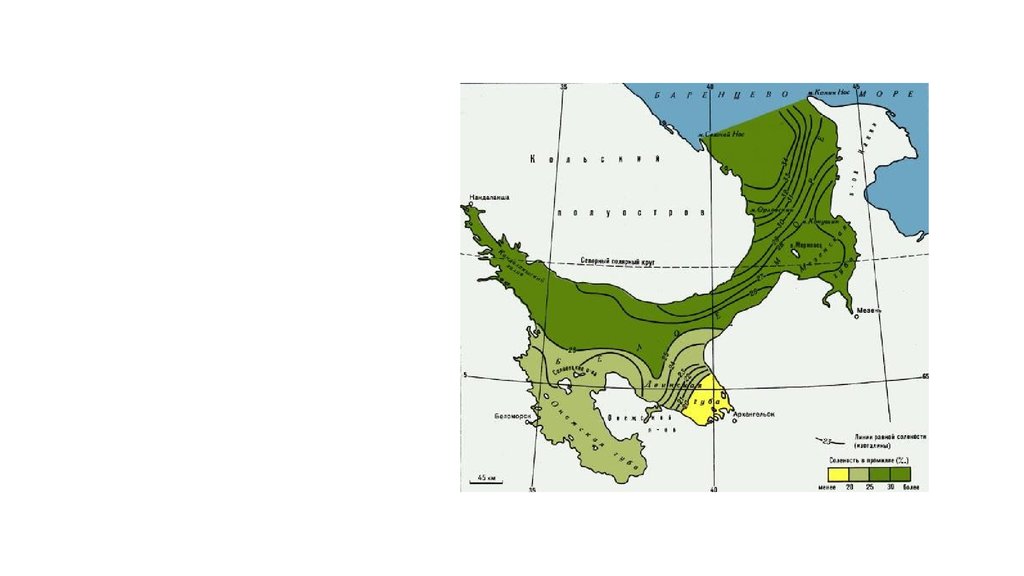 Карта солености балтийского моря