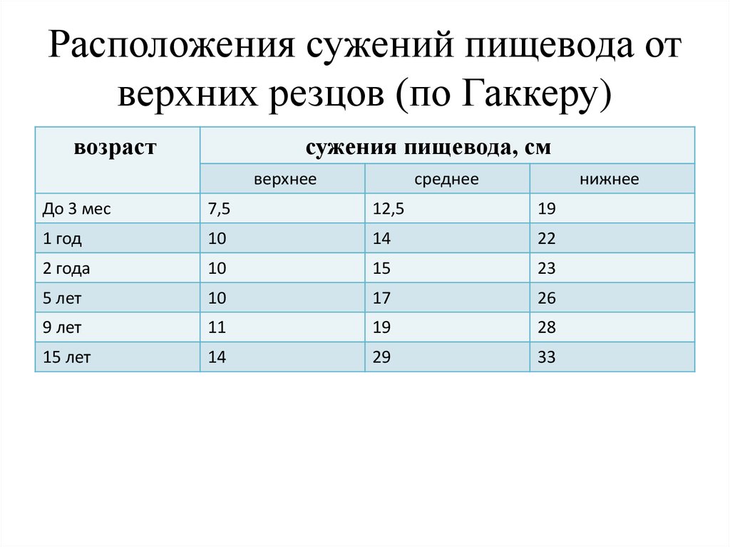 Расположения сужений пищевода от верхних резцов (по Гаккеру)