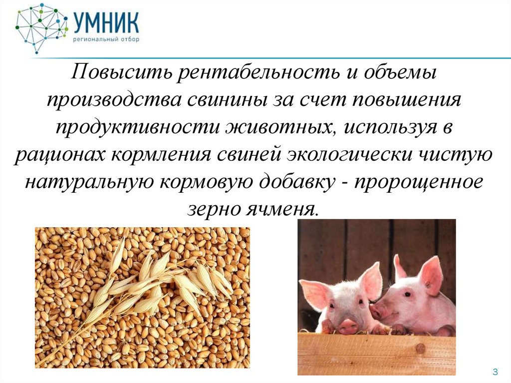 Продуктивность свиноматки