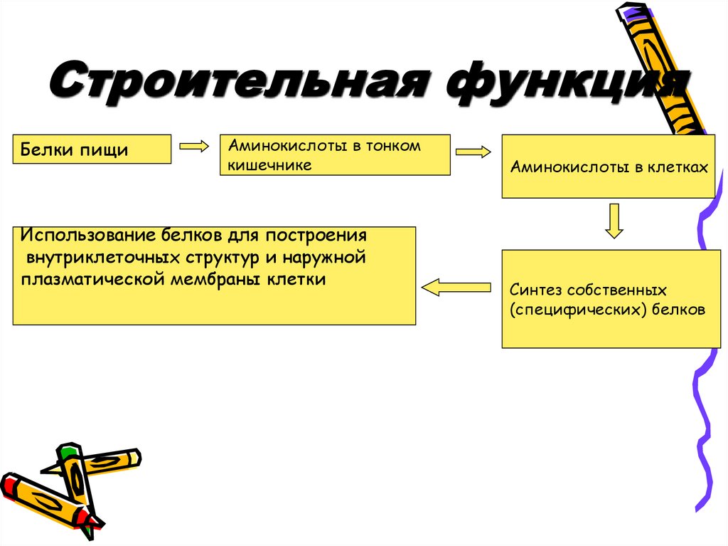 Функции строительства