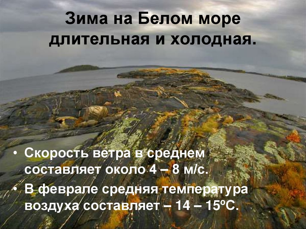 Белое море презентация