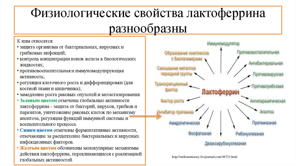 Функции свойства в организме человека