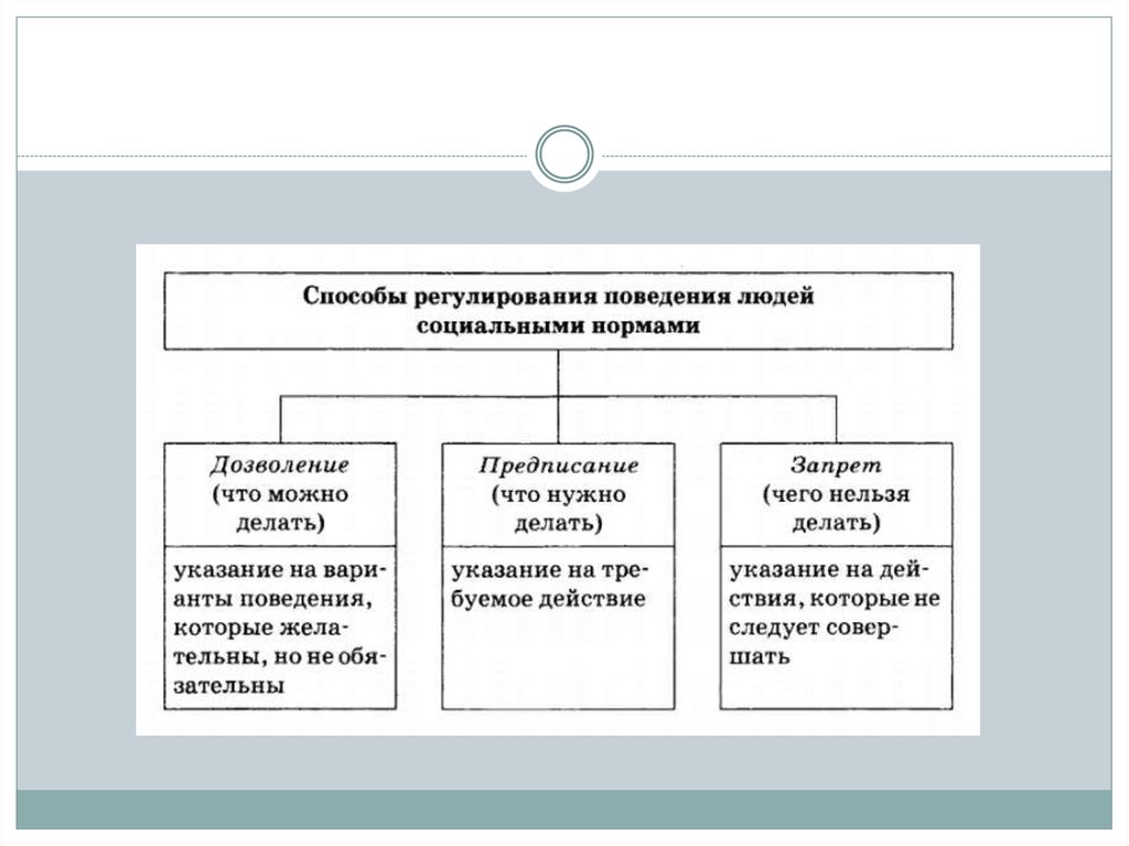 Социальные нормы регулируют поведение