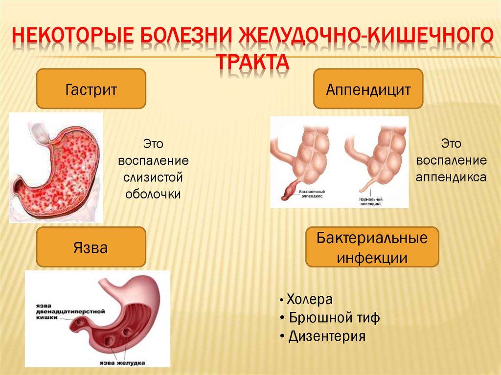 Причины пищеварительных заболеваний