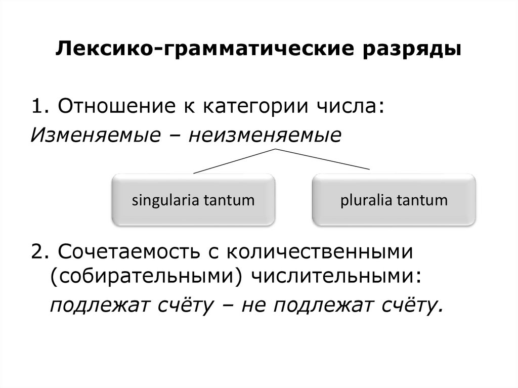 Грамматические категории существительных