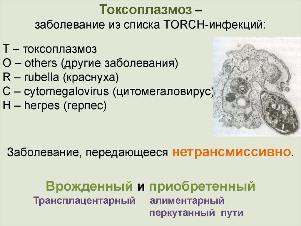 Медицинская протозоология презентация