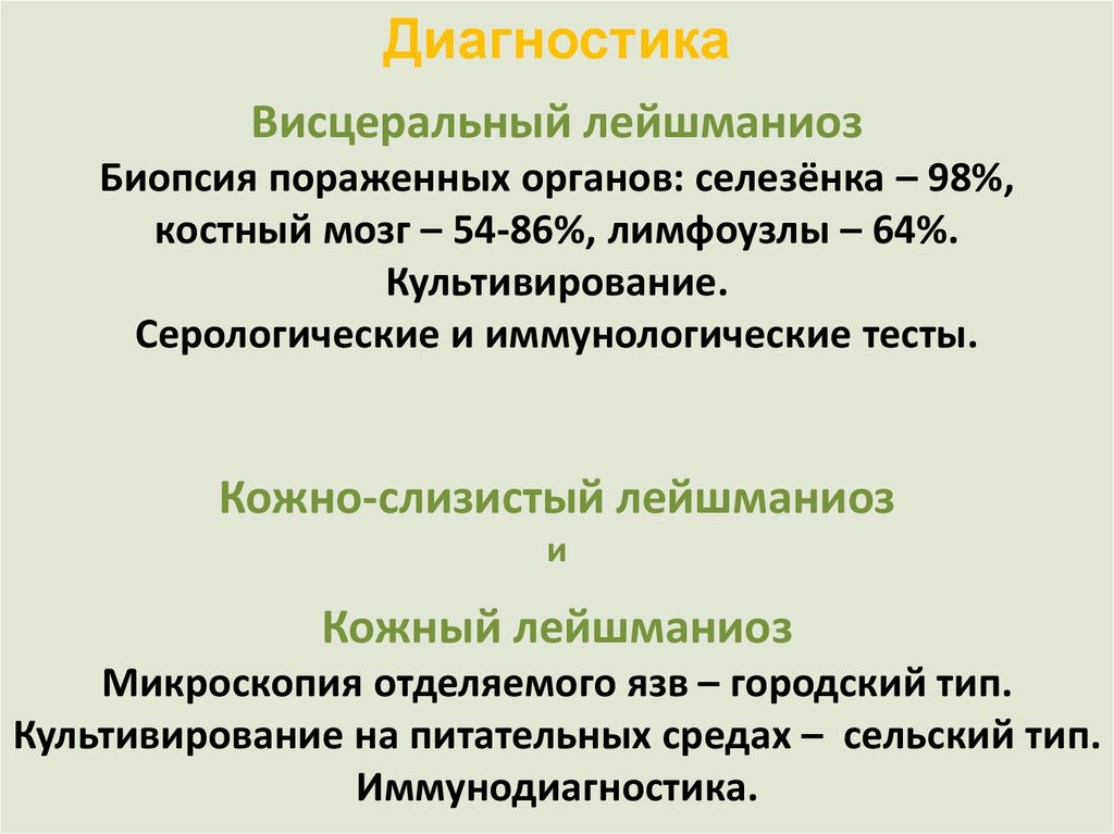 Медицинская протозоология презентация