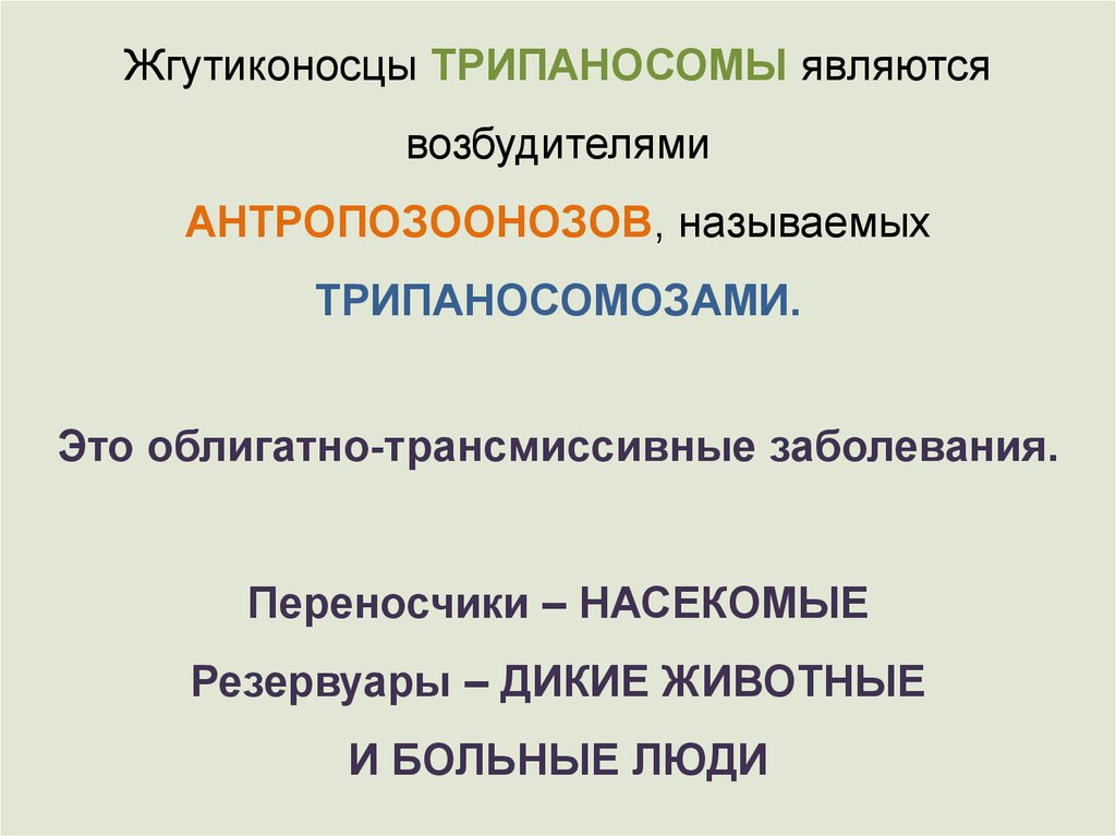 Медицинская протозоология презентация