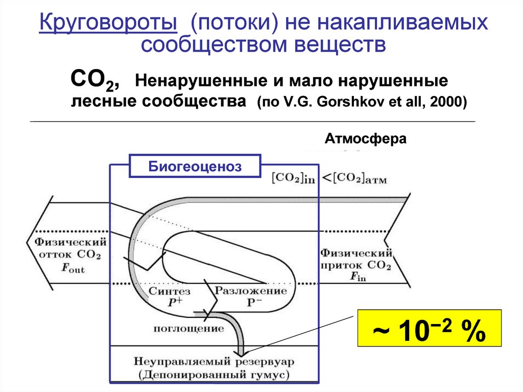 Поток вещества в сообществе. Циркуляция потока. Непоток.